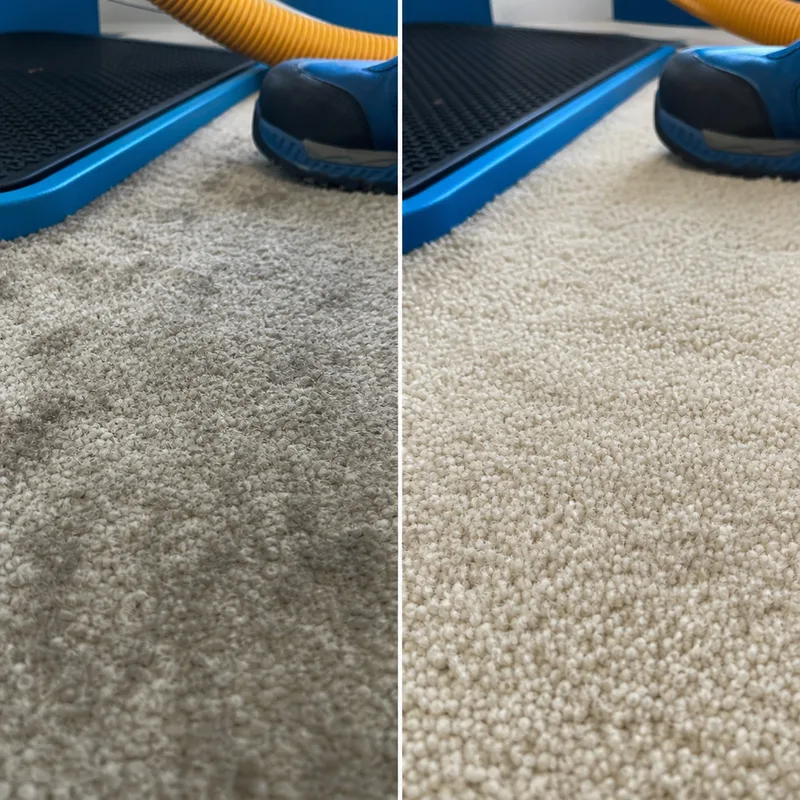 Clean carpet fibers with lifted pile near an entry area